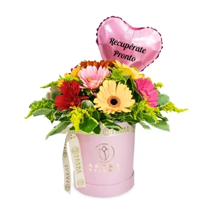 Box-Gerberas-recuperate-Aroma-a-flores