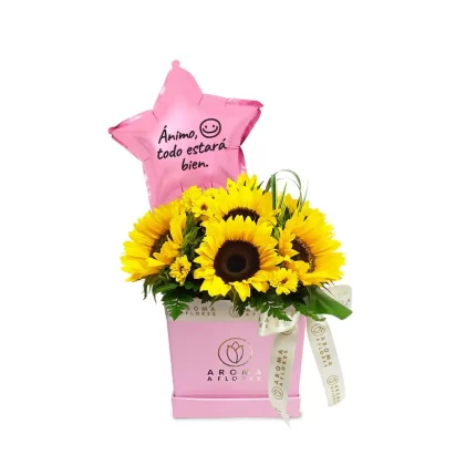 Box-girasol-pronta-recuperacion-Aroma-a-flores