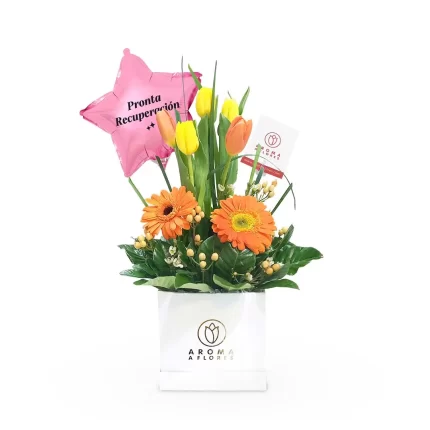 Box-tulipanes-mejorate-Aroma-a-flores